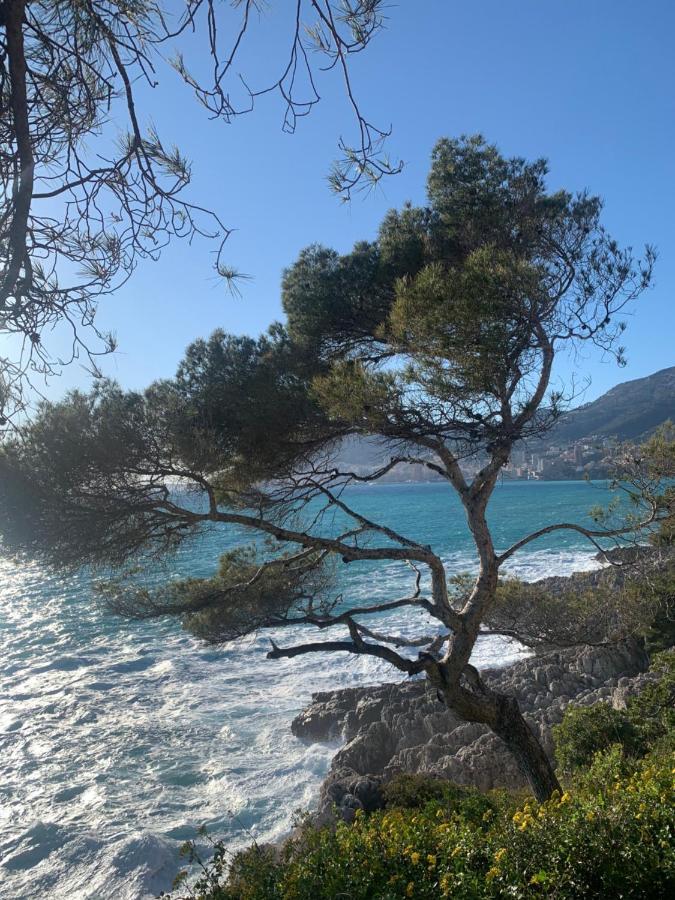 Castiello B&B Roquebrune-Cap-Martin Luaran gambar